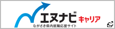 エヌナビキャリア